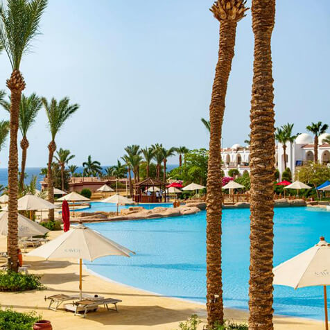 Total Tennis | Tennis Clinic Sharm El-Sheik (Egitto)