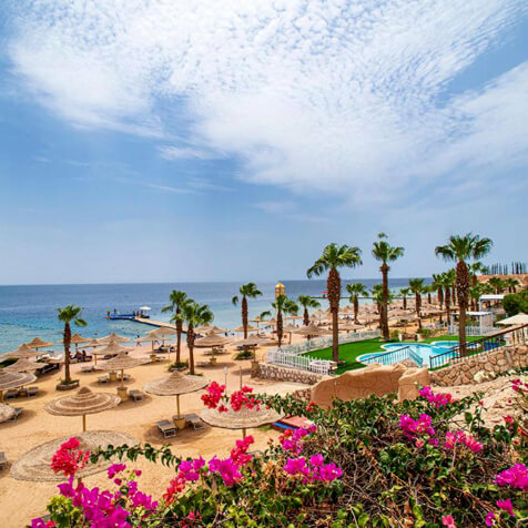 Total Tennis | Tennis Clinic Sharm El-Sheik (Egitto)